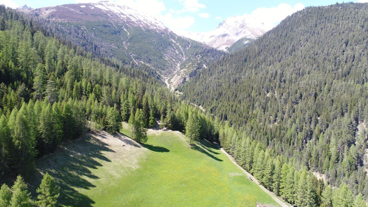 Hotel Sonnenhalde Wiesen Zewnętrze zdjęcie